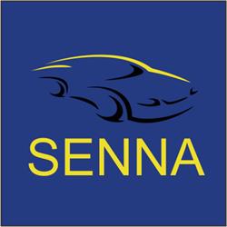Senna Mecanica Automotiva
