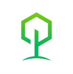 Lignum Ambiental Jr