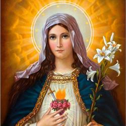 Comunidade Mater Dolorosa De Jerusalem - Cmdj