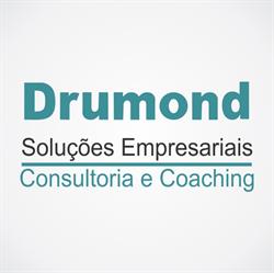Drumond Solucoes Empresariais Ltda