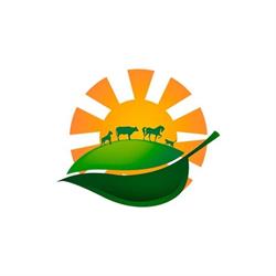 Agropalmas Produtos Agropecuarios