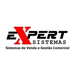 Expert Sistemas E Informatica