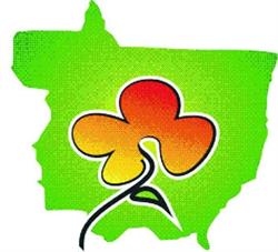 Flor Do Cerrado
