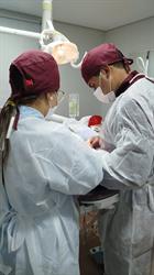 Clinica Novalins Odontologia - Dra. Érica Lins, Dr. Carlos Lins