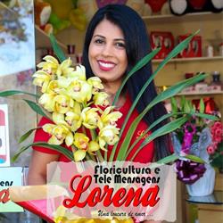 Telemensagens Lorena