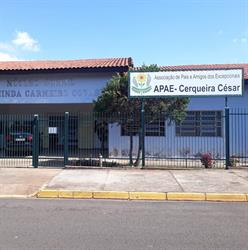 Apae De Cerqueira Cesar