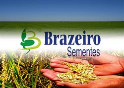 Brazeiro Sementes
