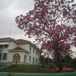 Apm Da E.E.Presidente Afonso Pena