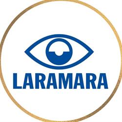 Laramara Associacao Brasileira De Assistencia A Pessoa Com Deficiencia Visual