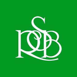 Sociedade Rio Branco