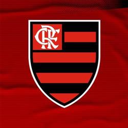 Clube De Regatas Do Flamengo