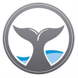 Moby Fitness - A Primeira em Qualidade de Vida