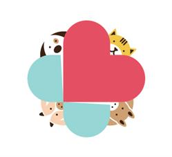 Animalvet Clinica Veterinaria