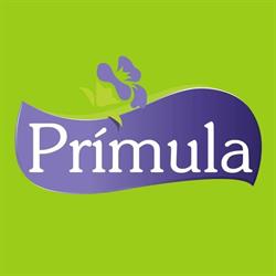 Primula