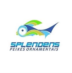 Splendens Peixes Ornamentais