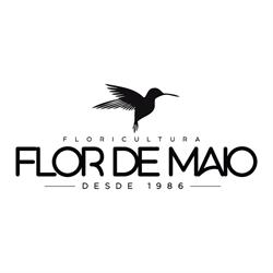 Flor De Maio Floricultura