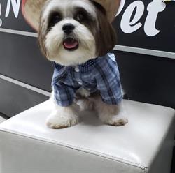 Nosso Pet