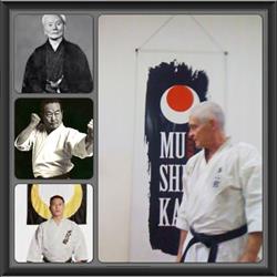 Mushinkan Escola De Karate-Do
