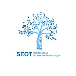Santa Efigenia Ortopedia E Traumatologia