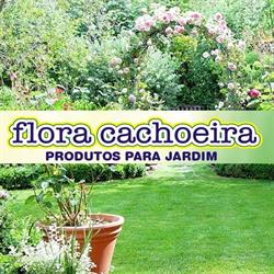 Flora Cachoeira