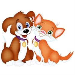 Pet Shop Pape