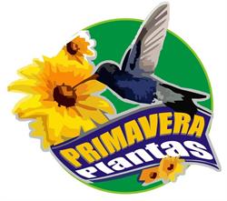 Primavera Plantas
