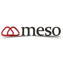 Meso Telecom & Systems