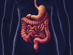Clinica Sao Paulo Gastroprocto Servicos Medicos Ss