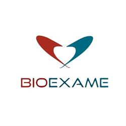 Laboratorio Bioexame