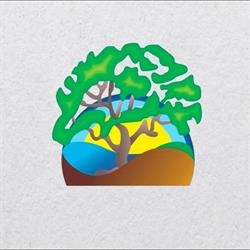 Viveiro E Floricultura Arvore Da Vida
