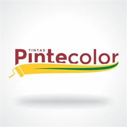Pintecolor Tintas E Texturas Ltda