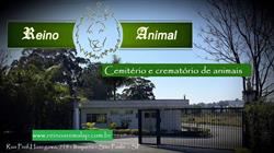 Reino Animal