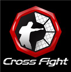 Cross Fight Training System
