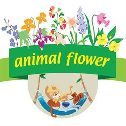 Animal Flower