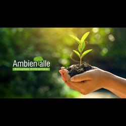 Ambientalle - Servicos Ambientais