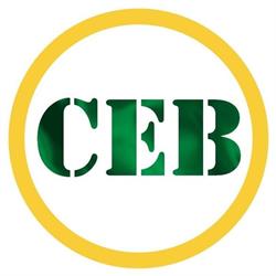 Centro Educacional Brasileirinho/Ceb