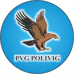 Pvg Polivig Servicos De Conservacao Ltda.