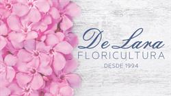 De Lara Flores E Decoracoes Ltda