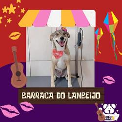 Fufurinhas Pet