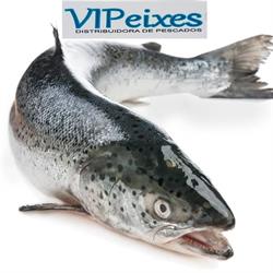 Vipeixes Distribuidora De Pescados