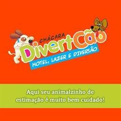 Divertcao