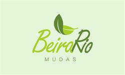 Beira Rio Mudas E Construcoes