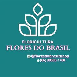 Flor De Liz