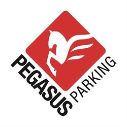 Pegasus Parking Estacionamento E Lava Rapido Ltda