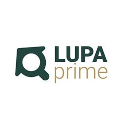 Grupo Lupa
