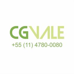 Cg Vale Solucoes Integradas De Logistica Ltda