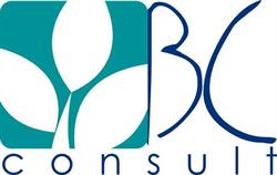 Bc Consultores Ltda