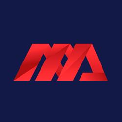 Metalúrgica MS