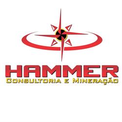 Hammer Servicos E Mineracao