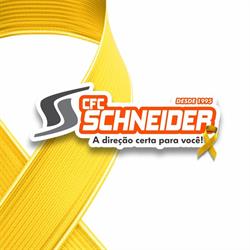 Cfc - Schneider